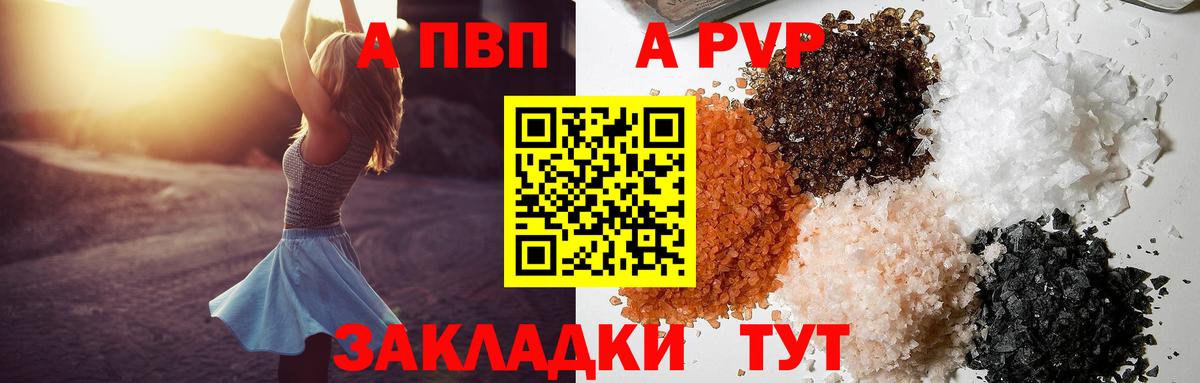 Alfa_PVP СК КРИС Саратов