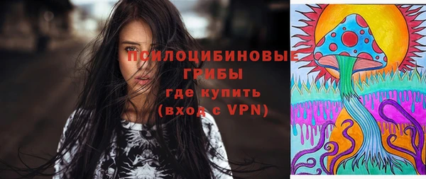 гидра Михайлов