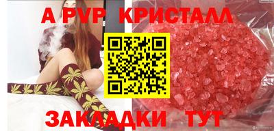 мяу мяу мука Беслан