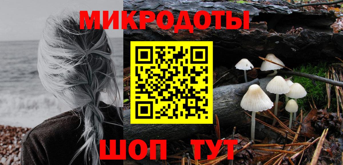 Псилоцибиновые грибы Cubensis Саратов