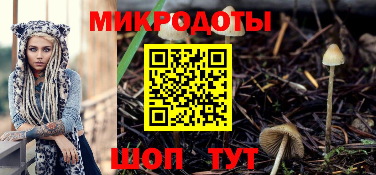 APVP Саратов