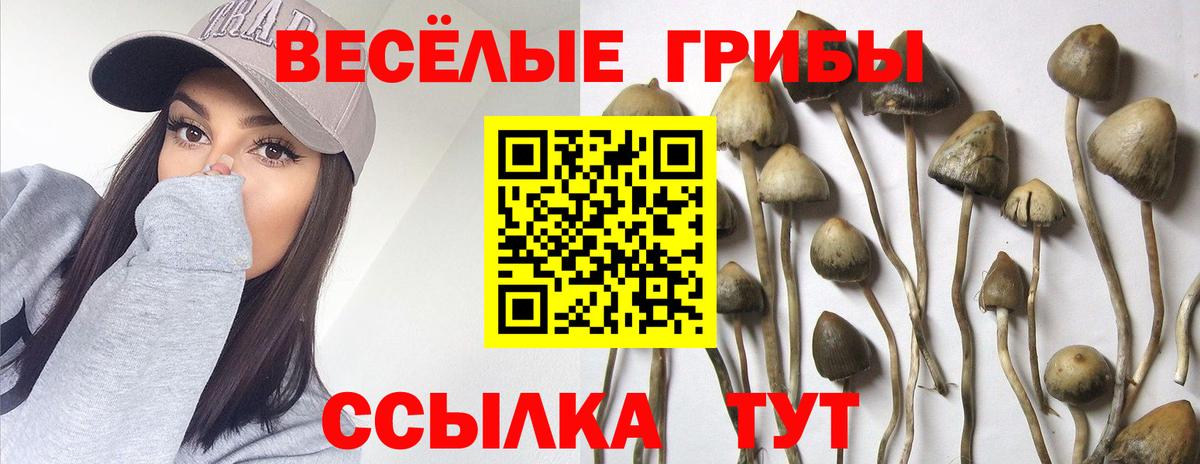 Псилоцибиновые грибы мицелий  Вход с VPN  Саратов 